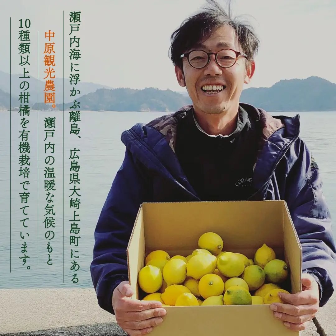 オーガニック ライム 1kg【2026年9月以降発送】