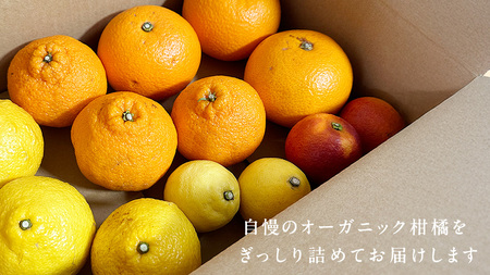 国産 オーガニック フルーツ 詰め合わせ 3kg 【 先行予約 3月 発送予定】 レモン ブラッドオレンジ はるか 不知火 紅八朔 有機JAS認証