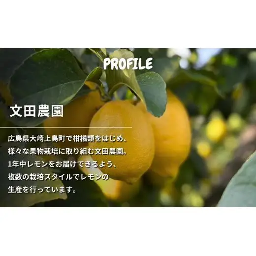 芳醇! 文田農園のレモン 約3kg 【2027年 2～3月発送】