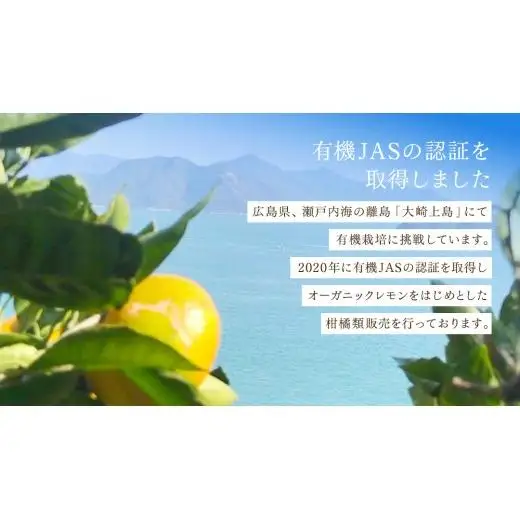 島の宝石箱！瀬戸内 旬の柑橘カラフルギフトセット ( レモン 約2kg /みかん 約1kg ) 【2026年 11月 ～ 12月 発送】 先行予約