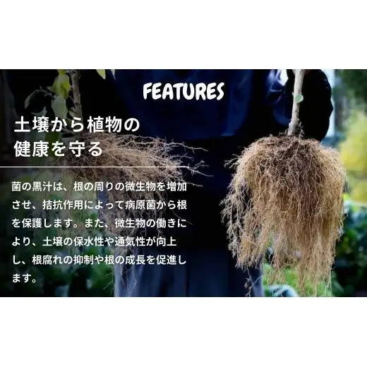 菌の黒汁 ブロックW 10kg×2袋セット(合計20kg)　農業 園芸 肥料 粒状 特殊肥料 無臭 有機栽培 病害予防 健康土壌 連作障害 土壌改善