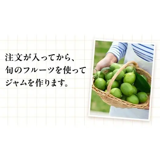 岩﨑農園 無添加 手作り ジャム 200g 1本