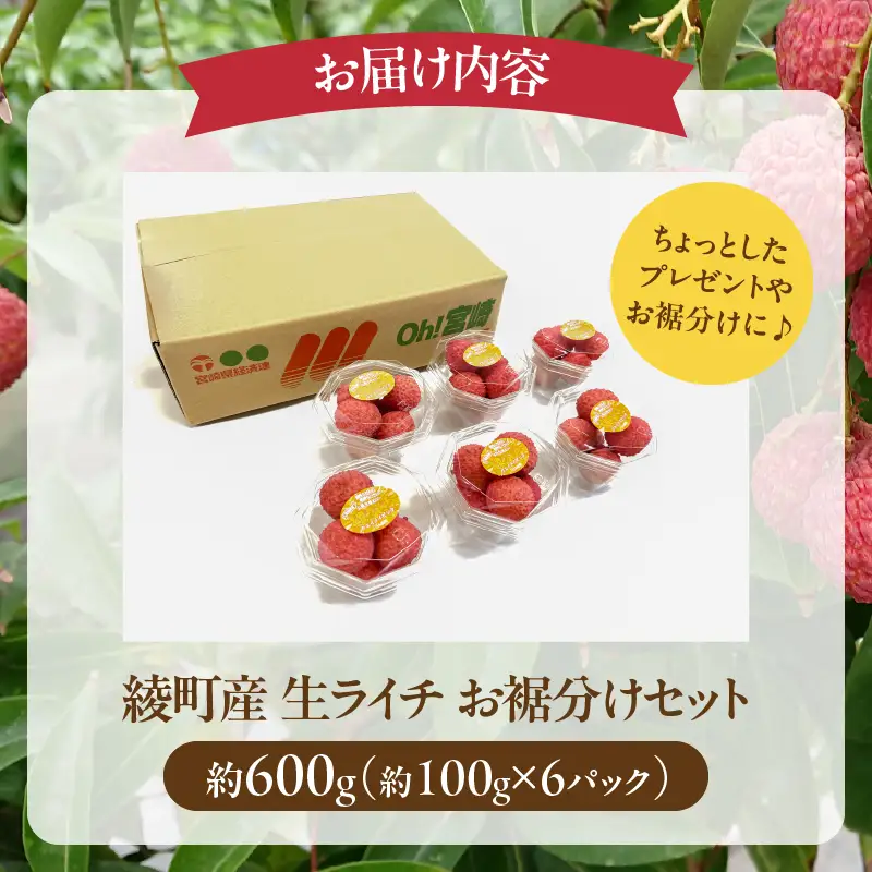 【先行予約】希少 綾生ライチ お裾分けセット （６パック） / 宮崎県産 ライチ 国産【JA綾町】_A0114-1051