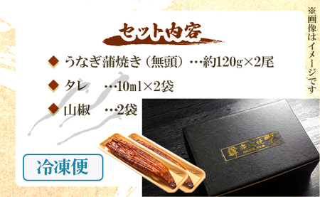 うなぎ 定期便 6回 うなぎ蒲焼き120g 2尾(無頭) 魚介 国産 海鮮 魚 かばやき 鰻 ウナギ 惣菜 おかず お手軽 加工品 加工食品 冷凍 Wun-0071