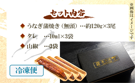 【2回定期便】うなぎ蒲焼き120g 3尾(無頭) 魚介 国産 海鮮 魚 かばやき 鰻 ウナギ 惣菜 おかず お手軽 加工品 加工食品 冷凍  Wun-0074