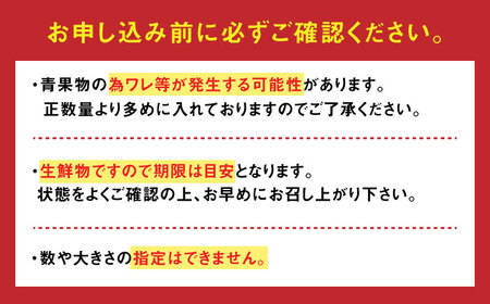 【2026年11月下旬発送】ドトマト1号 2kg / トマト 野菜 / 佐賀県 [41AAAC001]