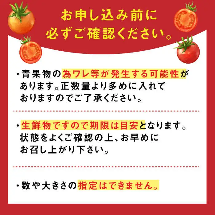 【2027年2月上旬発送】極ドトマト 1kg / 佐賀県 / 永尾産ち [41AAAC005]