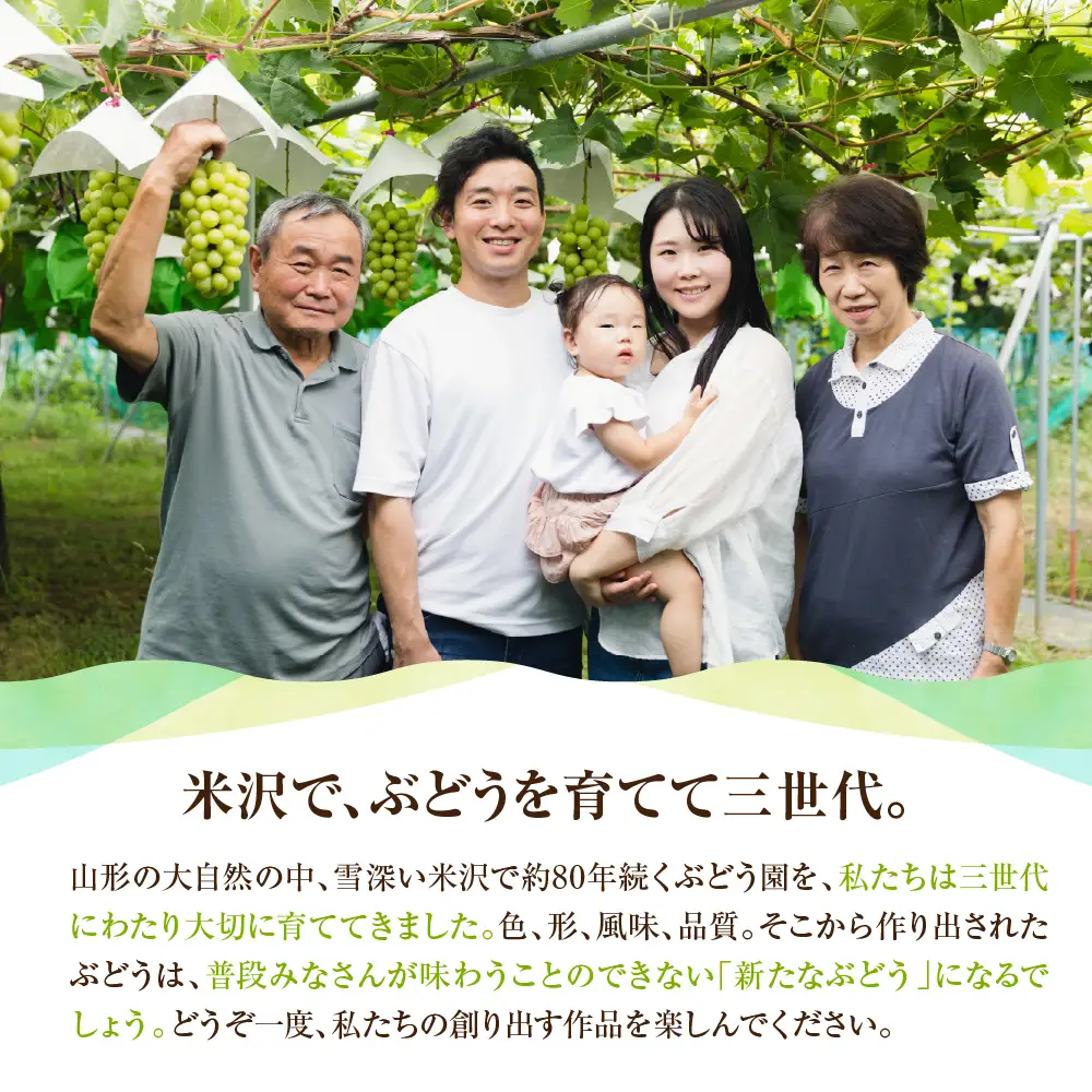 【先行予約】 【数量限定】 令和8年産 大玉 シャインマスカット 2房 1.4kg 2026年9月上旬頃～お届け予定