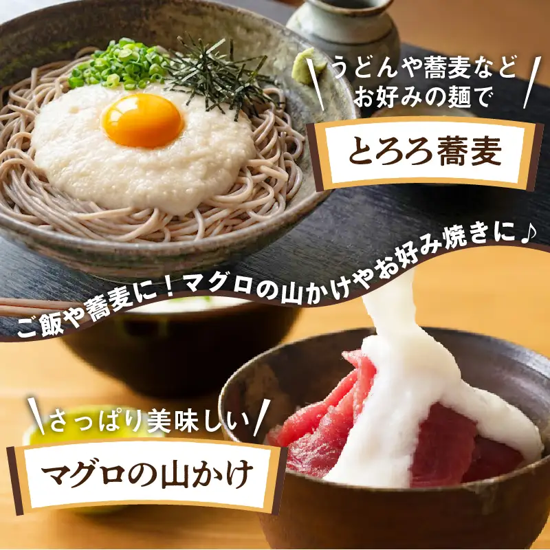 冷凍とろろ1キロセット（50g×20袋）　40P3217【 東北センバ】