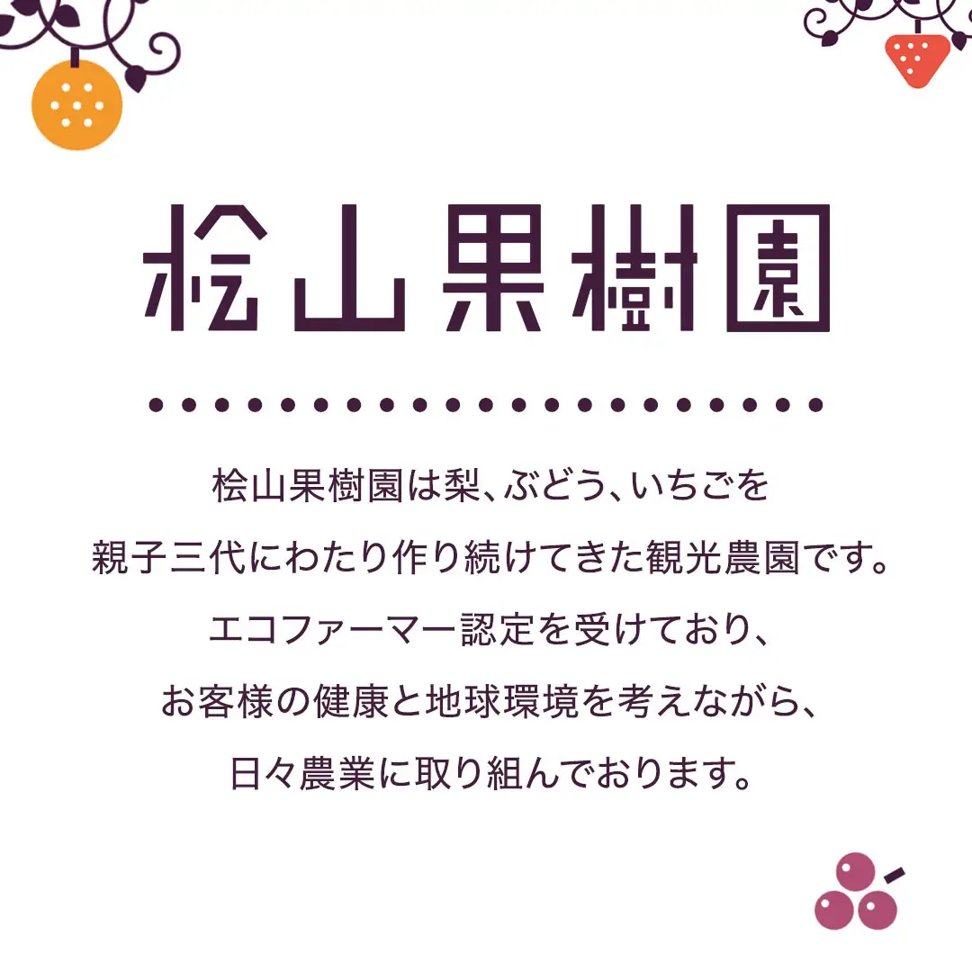 極上 プレミアム シャインマスカット １房 ( １房 1kg 以上) 数量限定 【茨城県共通返礼品／常陸太田市】先行予約 マスカット 特大 贈答用 ギフト プレゼント フルーツ くだもの 果物  果実 ぶどう ブドウ 葡萄 茨城県[DU022sa]