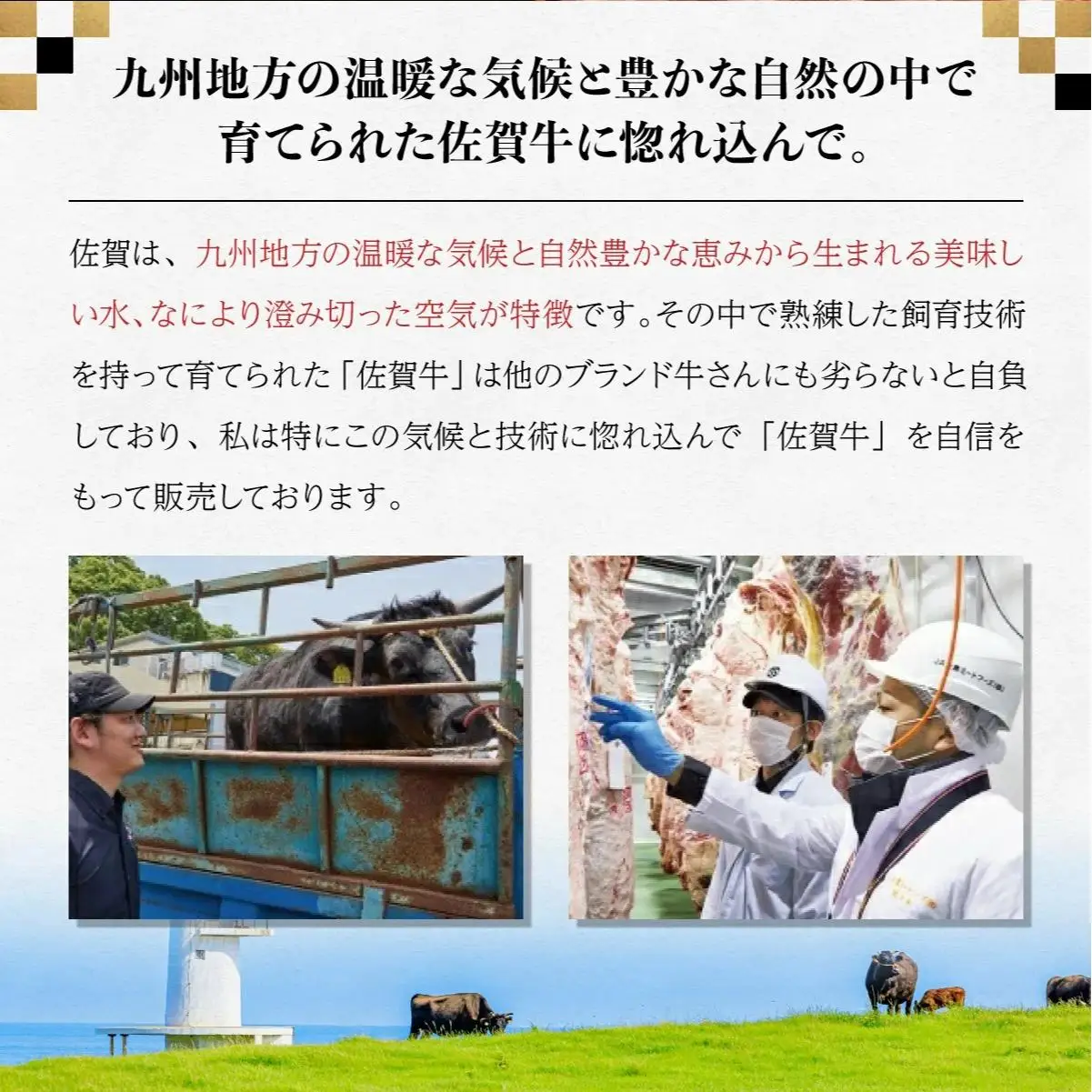 佐賀牛セット 年4回定期便コース(2人前) H-307