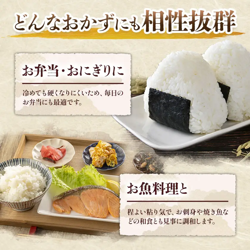 米 白米 神代米 粒すけ 令和7年産 10kg ぜん兵衛。