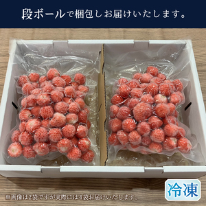 冷凍いちご 2キロ（500g×4）小さなかわいい桃薫 (a10-1152)