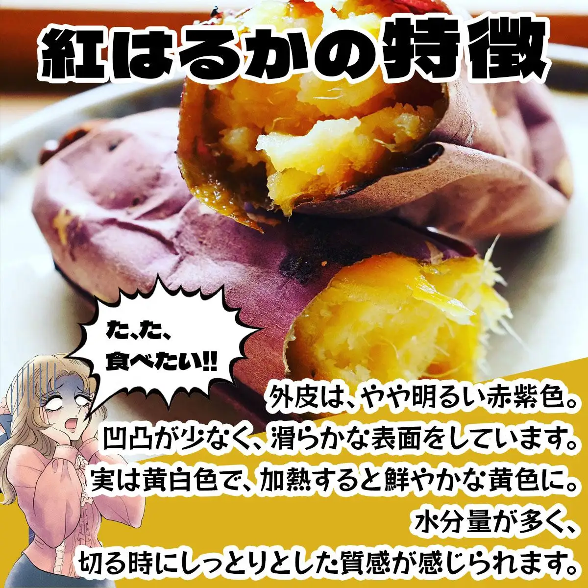 ＜先行予約＞《高糖度》さつまいも 紅はるか 15kg【55251152】