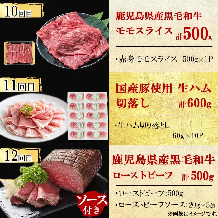 【定期便・全12回】ナンチクのお肉を楽しむ定期便！ナンチク厳選コース！ 総量8.5kg超! t0165-002