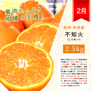 【2・8・9・12月 全4回 定期便 】紀州和歌山産旬のフルーツセット（不知火・種なし巨峰・シャインマスカット・みかん）【UT123】【Z91163-tkb399】