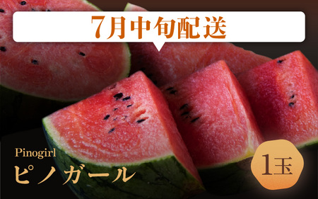 【先行予約】【定期便 4回コース】 坂井市フルーツ三昧！！「極」A 【2027年6月上旬以降順次発送開始予定】定期便 くだもの 果物 [H-3202]