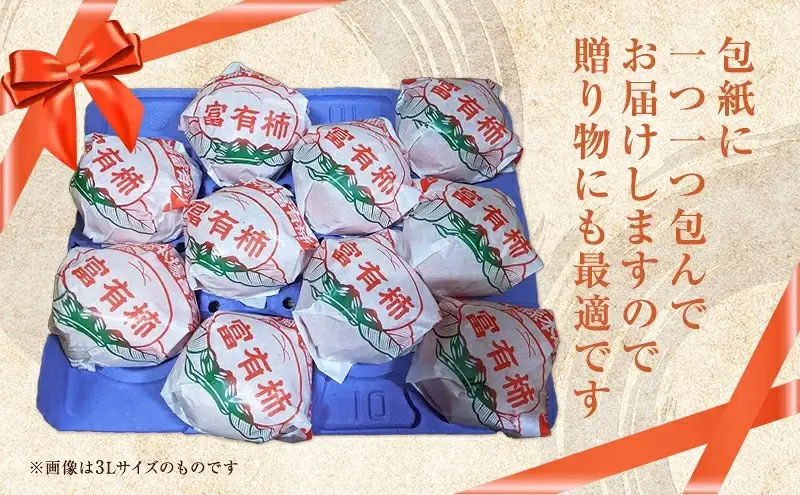富有柿発祥の地から収穫翌日発送！【贈答用】富有柿 2Lサイズ 12個 | かき フルーツ カキ 果物 くだもの ※2026年11月～発送