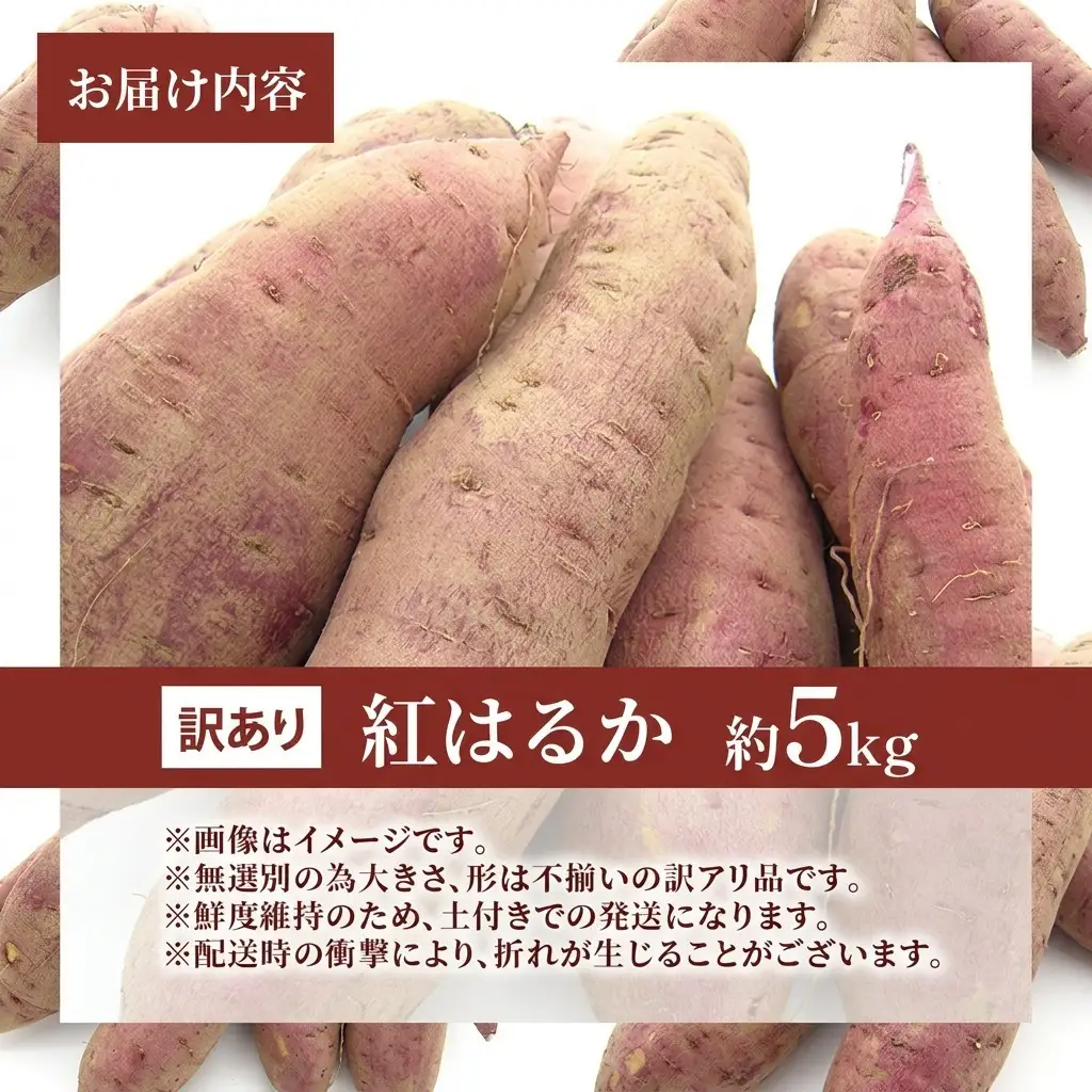 さつまいも 紅はるか 訳あり無選別 熟成 さつまいも【5kg】