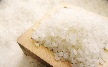 【米屋商店】令和7年産 こだわりの奥会津只見産 コシヒカリ 5kg お米 米 ごはん ご飯 単一原料米