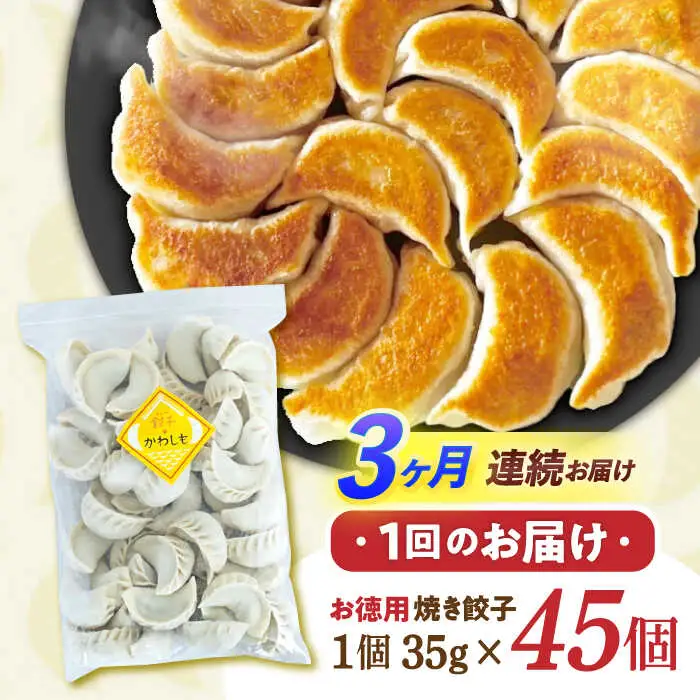 【3回定期便】《餃子のかわしも》かわしも焼き餃子お徳用45個入りパッケージ [AHBM006]