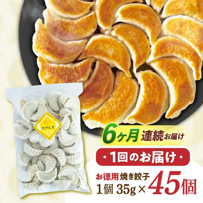 【6回定期便】《餃子のかわしも》かわしも焼き餃子お徳用45個入りパッケージ [AHBM007]