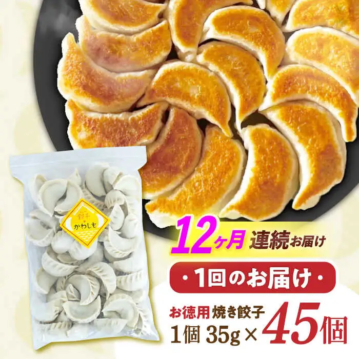 【12回定期便】《餃子のかわしも》かわしも焼き餃子お徳用45個入りパッケージ [AHBM008]