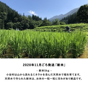【年4回発送】小谷村特産品定期便｜おたりの旬をお届けします