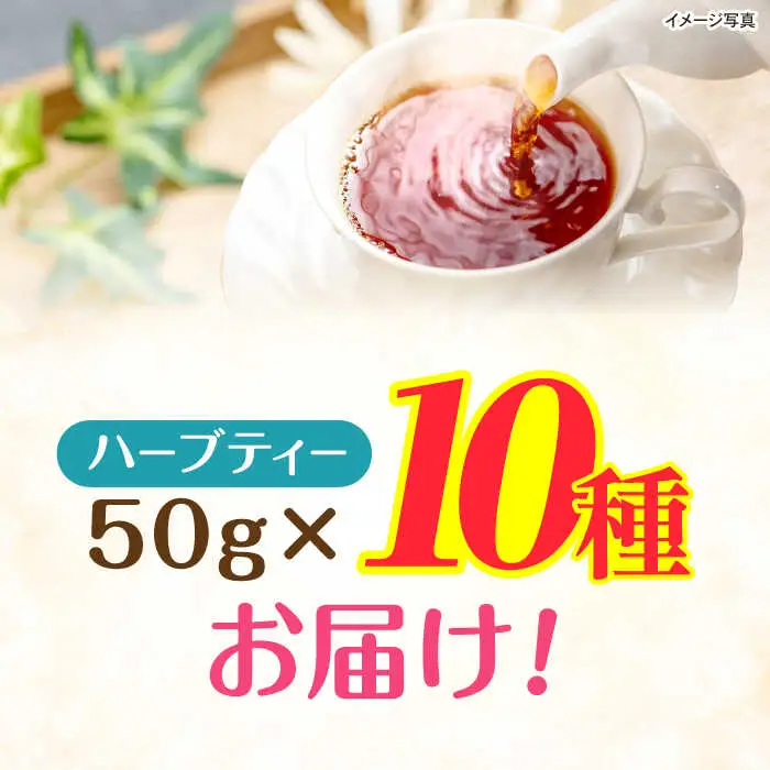 ブレンドハーブティ　50g×10種類　/　ハーブ　ハーブティー　お試し　ペパーミント　カモミール　/　諫早市　/　一般財団法人　小長井振興公社 [AHDK005]