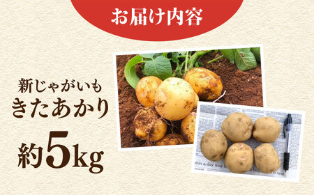 【先行予約】新じゃが きたあかり 約5kg 【鈴也ファーム】[AKCE021]