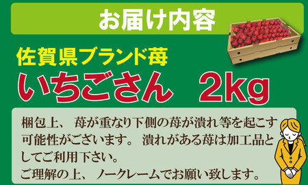 【先行予約】令和9年2月上旬頃出荷開始予定 大容量いちごさん 1kg×２箱（2,000g）ふるかわ農園 いちご 段ボール配送 加工品用 B190-008