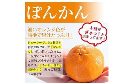 ＜先行予約＞＼数量・期間限定／ ポンカン 約5kg（2L・L） 化粧箱入り ポンカン【01-039-06】