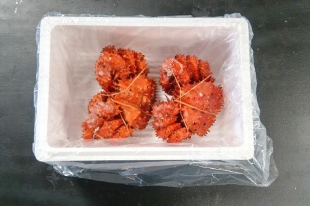 【北海道根室産】花咲ガニ350g×2尾 B-57028