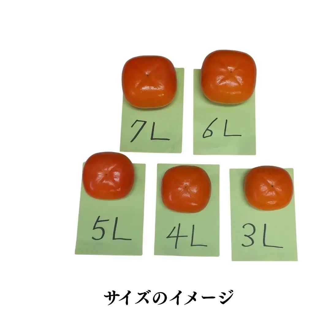 おけさ柿 5L 8個入 | 新潟県 佐渡市 柿
