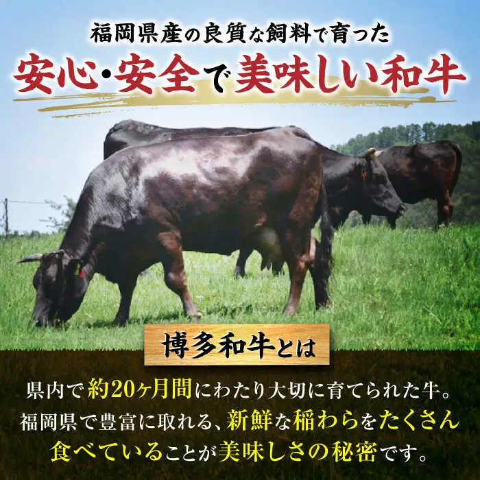【牛一頭丸ごとオーダー！】 博多和牛 一頭食べ尽くしセット VBB082 1000万以上