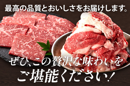 博多和牛 食べ比べセット 700g 博多和牛切り落とし モモ焼肉 冷凍 ジューシー 柔らかい 福岡県 福岡 九州 グルメ お取り寄せ