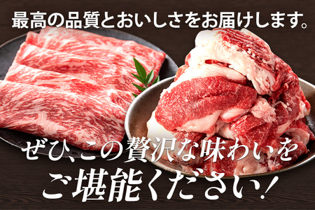 博多和牛 食べ比べセット 700g 博多和牛切り落とし モモスライス 焼肉 冷凍 ジューシー 柔らかい 福岡県 福岡 九州 グルメ お取り寄せ