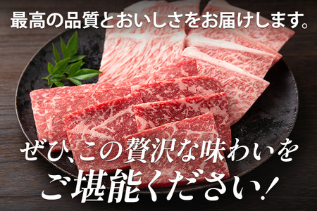博多和牛 部位別 焼肉 食べ比べ セット550g（モモ焼肉250g+肩ロース焼肉300g） ジューシー 冷凍 柔らかい 焼肉 すき焼き 福岡県 福岡 九州 グルメ お取り寄せ