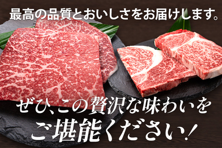  博多和牛 部位別 ステーキ 食べ比べ セット 450g モモ 肩ロース 冷凍 ジューシー 柔らかい 福岡県 福岡 九州 グルメ お取り寄せ