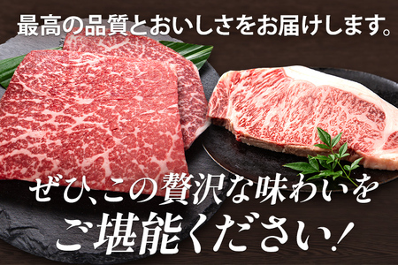  博多和牛 部位別 ステーキ 食べ比べ セット 500g モモ ロース 冷凍 ジューシー 柔らかい 福岡県 福岡 九州 グルメ お取り寄せ