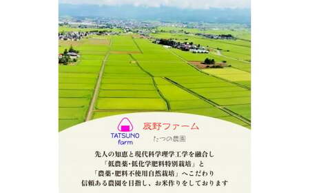【定期便6ヶ月】令和7年産　特別栽培米コシヒカリ　白米　5kg×6回　精米仕立て発送　ＧＡＰ認証農園産　　美米郷会津柴城米【07208-0329】