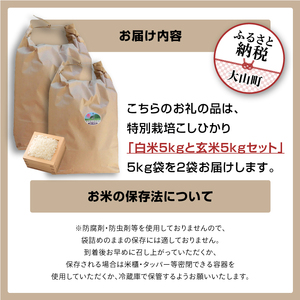MR-15　減農薬・減化学肥料　特別栽培米こしひかり「白米」と「玄米」のセット 10kg （各5kg　計10kg）