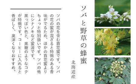 【国産純粋蜂蜜】北海道産 はちみつ4種食べ比べ 800g (200g×4本) アカシア・シコロ・オオハンゴウソウ・ソバと野草［ナルセ養蜂場］【 はちみつ ハチミツ 蜂蜜 ハニー 健康 美容 料理 純粋 希少 ギフト プレゼント セット 詰め合わせ 北海道 十勝 幕別 】