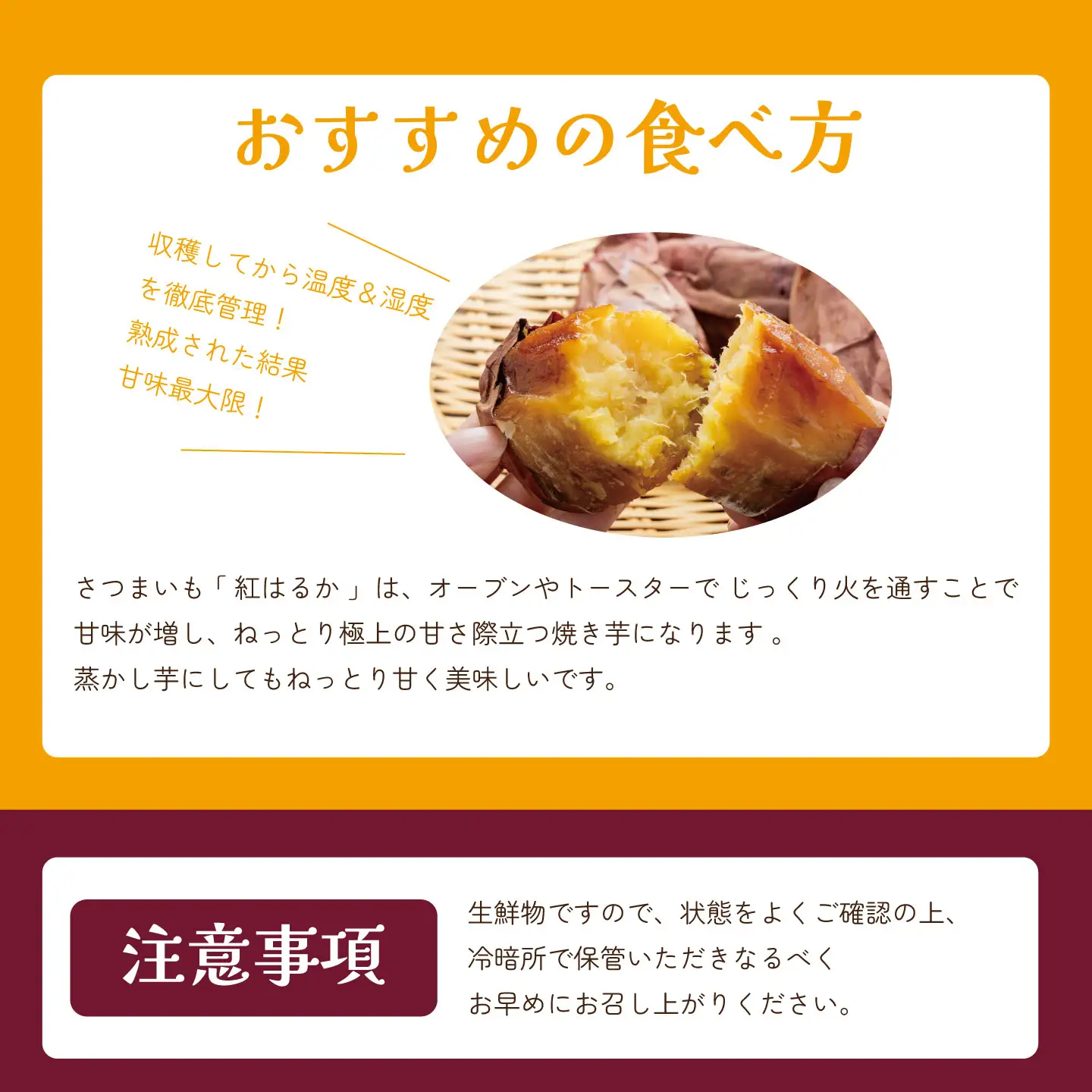 先行予約 さつまいも 訳あり 紅はるか 7kg さつまいも