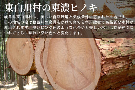 東白川村 木工品定期便 全3回 東濃ヒノキ 東濃桧 桧 檜 ヒノキ 桧木 檜木 カッティングボード ゴミ箱 ベンチ イス 東白川村 岐阜 東濃 定期 毎月お届け 45000円 【北海道・九州地方・沖縄県配送不可】