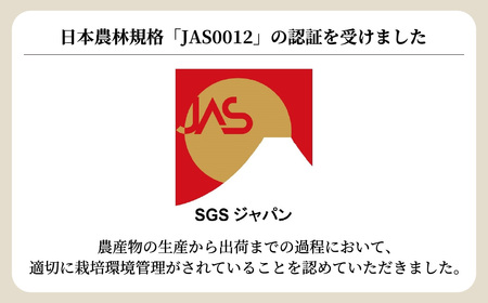 フリルレタス 4袋(80～110g/袋) | レタス