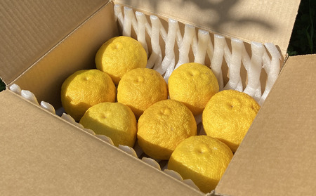 先行予約【期間限定】北限のゆず 黄玉 約1kg 旬 果物 柚子 ゆず