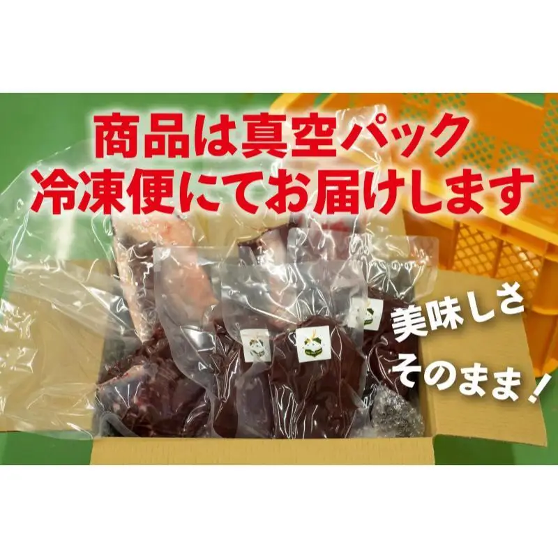 【伊豆産シカ肉】シカ1頭丸焼きセット（約10kg）鹿肉 シカ肉 ジビエ 高タンパク 高たんぱく 低カロリー 低脂肪 肉 お肉 山の幸