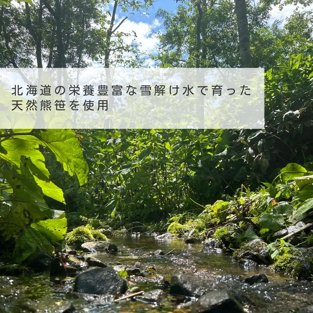 KUMAZASA HOT SPA - 森のささ湯（簡易包装　徳用20パック入）
