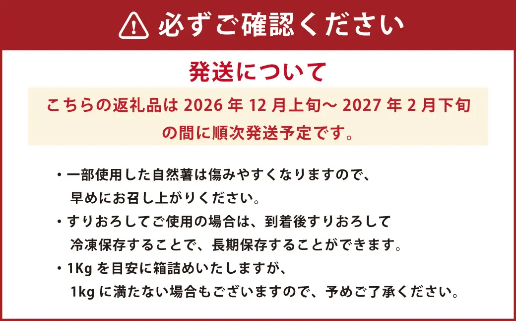 ここのえの自然薯 約1kg 山芋 ヤマイモ やまいも 芋 九重町産 【2026年12月上旬～2027年2月下旬まで順次発送予定】